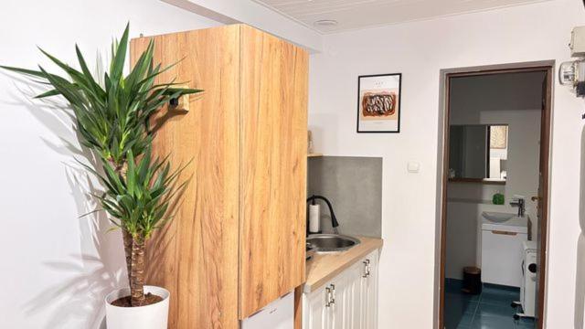 Apartament Boho Stare Miasto Nowy Sącz Esterno foto